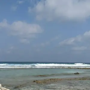 Explore Island Hopping North Male' Atoll - Male' to Huraa and Dhiffushi for 8 days with Corallium Tours and discover unforgettable experiences - Photo 6