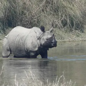 Explore Nepal Soft Adventure Tour for 9 days with Corporate Adventure Treks Pvt. Ltd. and discover unforgettable experiences - Photo 2