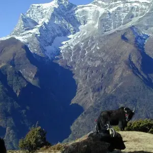 Explore Everest Base Camp Trek (14 destinations) for 14 days with Corporate Adventure Treks Pvt. Ltd. and discover unforgettable experiences - Photo 6