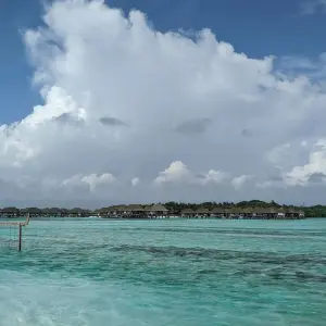 Explore Island Hopping North Male' Atoll - Male' to Huraa and Dhiffushi for 8 days with Corallium Tours and discover unforgettable experiences - Photo 8