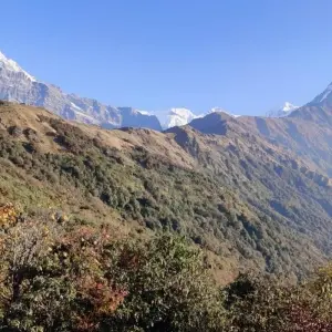 Explore Mardi Himal Trek for 10 days with Corporate Adventure Treks Pvt. Ltd. and discover unforgettable experiences - Photo 5