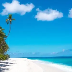 Explore Maldives Adventure of Your Life! for 8 days with Corallium Tours and discover unforgettable experiences - Photo 9