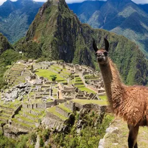 Explore Peru Uncovered (Inca Trail Trek) for 14 days with Contiki and discover unforgettable experiences - Photo 7