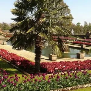 Explore London Explorer (4 Days) for 4 days with Contiki and discover unforgettable experiences - Photo 5