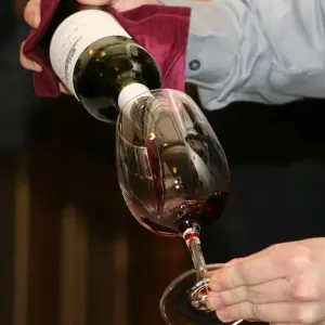 Explore Food and Wine in a French Chateau for 4 days with Contiki and discover unforgettable experiences - Photo 7