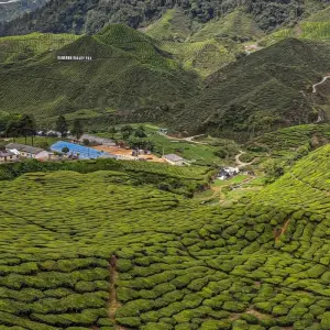 Explore Malaysia and Singapore Highlights for 8 days with Contiki and discover unforgettable experiences - Photo 6