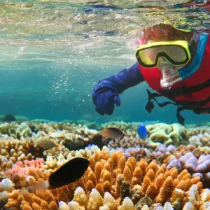 Explore Great Barrier Reef Explorer (Snorkel To Adventure) for 3 days with Contiki and discover unforgettable experiences - Photo 3