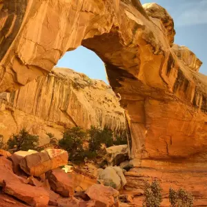 Explore USA: National Parks Road Trip (End Los Angeles) for 12 days with Contiki and discover unforgettable experiences - Photo 6