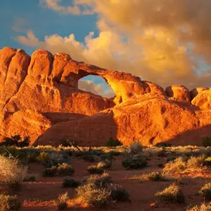 Explore USA: National Parks Road Trip (End Los Angeles) for 12 days with Contiki and discover unforgettable experiences - Photo 7