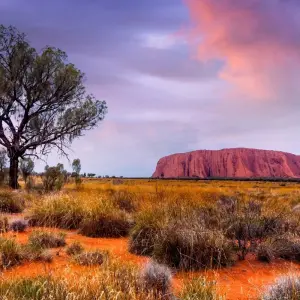 Explore Australia: North Queensland to Uluru (Without Sailing) for 13 days with Contiki and discover unforgettable experiences - Photo 9