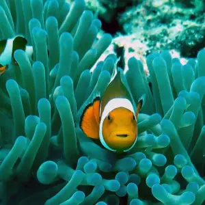 Explore Philippines Island Hopping East for 10 days with Contiki and discover unforgettable experiences - Photo 3