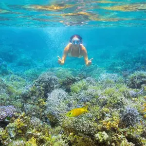 Explore Philippines Island Hopping East for 10 days with Contiki and discover unforgettable experiences - Photo 4