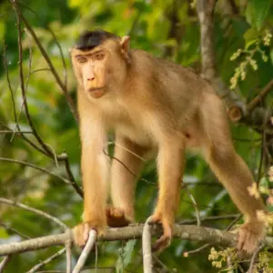 Explore Borneo Adventure for 9 days with Contiki and discover unforgettable experiences - Photo 2