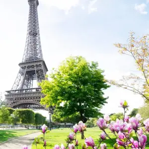 Explore Paris to Rome by Train (Classic, Summer) for 9 days with Contiki and discover unforgettable experiences - Photo 9