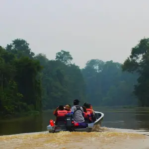 Explore Borneo Adventure for 9 days with Contiki and discover unforgettable experiences - Photo 3