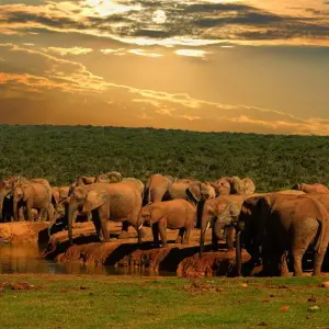 Explore Sea, Safari, South Africa (With Johannesburg (until 15 December 2025)) for 14 days with Contiki and discover unforgettable experiences - Photo 2
