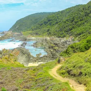 Explore Sea, Safari, South Africa (With Johannesburg (until 15 December 2025)) for 14 days with Contiki and discover unforgettable experiences - Photo 5