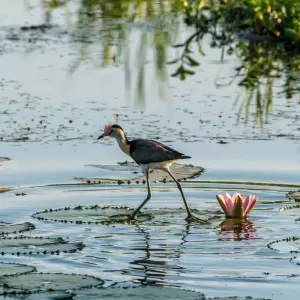 Explore Australia: Kakadu Dreaming for 5 days with Contiki and discover unforgettable experiences - Photo 5