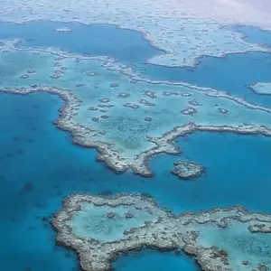 Explore Australia: North Queensland Adventure for 9 days with Contiki and discover unforgettable experiences - Photo 6