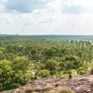 Explore Australia: Kakadu Dreaming for 5 days with Contiki and discover unforgettable experiences - Photo 8