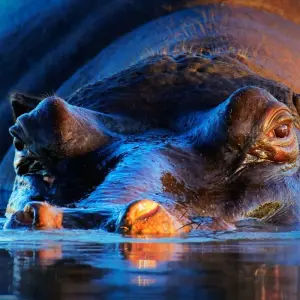 Explore Kruger Safari with Eswatini (Start Johannesburg (until 22 December 2025)) for 7 days with Contiki and discover unforgettable experiences - Photo 3