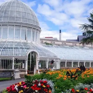 Explore Irish Discovery for 9 days with Cosmos and discover unforgettable experiences - Photo 5