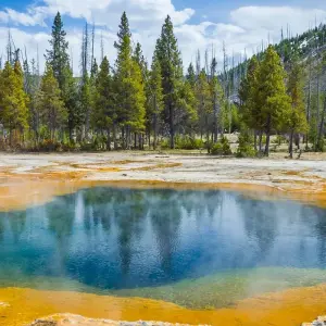 Explore Trans-American Adventure for 24 days with Cosmos and discover unforgettable experiences - Photo 4