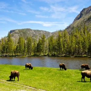 Explore Trans-American Adventure for 24 days with Cosmos and discover unforgettable experiences - Photo 5