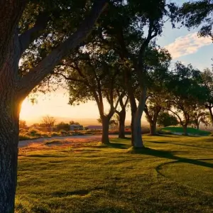 Explore Highlights of Route 66 with Mother Road Festival & Albuquerque Balloon Fiesta for 16 days with Cosmos and discover unforgettable experiences - Photo 5