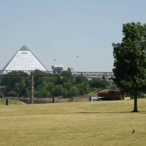 Explore Southern Sounds & Elvis for 8 days with Cosmos and discover unforgettable experiences - Photo 8