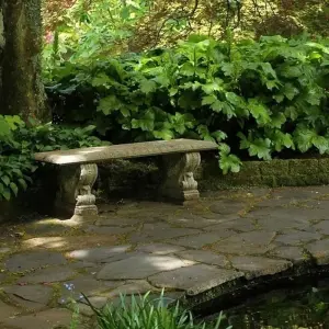 Explore Costa Rica Adventure for 7 days with Costsaver and discover unforgettable experiences - Photo 6