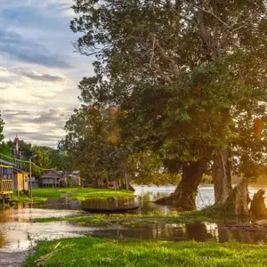Explore Mysteries of the Inca Empire with Peru's Amazon for 15 days with Cosmos and discover unforgettable experiences - Photo 10