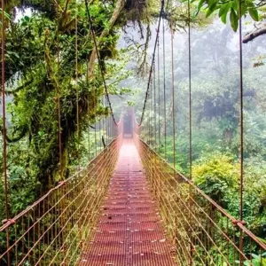 Explore Costa Rica Adventure for 7 days with Costsaver and discover unforgettable experiences - Photo 10