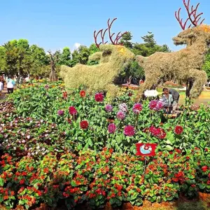 Explore Essential Thailand for 12 days with Costsaver and discover unforgettable experiences - Photo 5