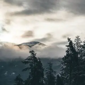 Explore Wonders of the Canadian Rockies for 10 days with Costsaver and discover unforgettable experiences - Photo 4