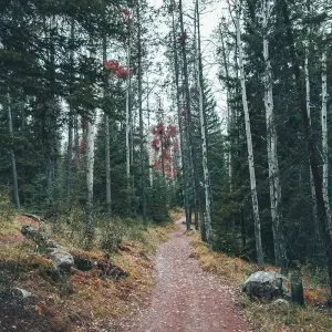 Explore Wonders of the Canadian Rockies for 10 days with Costsaver and discover unforgettable experiences - Photo 7