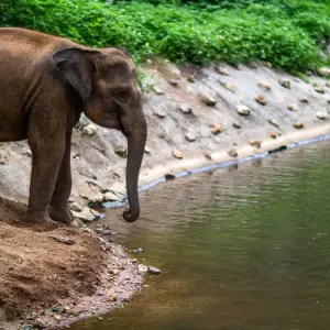Explore Tantalizing Thailand for 12 days with Cosmos and discover unforgettable experiences - Photo 7