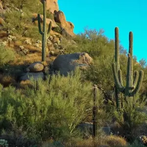 Explore Golden West Adventure for 14 days with Cosmos and discover unforgettable experiences - Photo 5