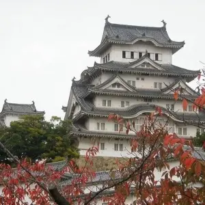 Explore Japan Discovery for 10 days with Costsaver and discover unforgettable experiences - Photo 3