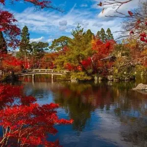 Explore Japan Discovery for 10 days with Costsaver and discover unforgettable experiences - Photo 4