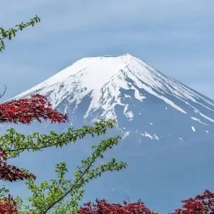 Explore Japan Discovery for 10 days with Costsaver and discover unforgettable experiences - Photo 5