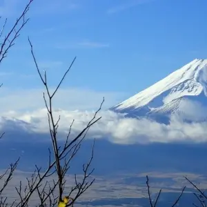 Explore Japan Discovery for 10 days with Costsaver and discover unforgettable experiences - Photo 7