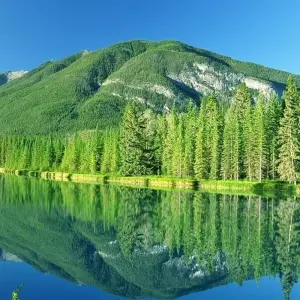 Explore Canadian Train Odyssey for 15 days with Cosmos and discover unforgettable experiences - Photo 3