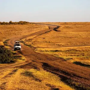 Explore Highlights of Kenya for 8 days with Costsaver and discover unforgettable experiences - Photo 3