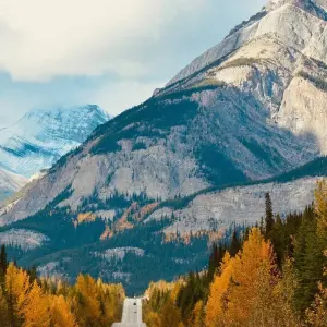 Explore Western Canada by Rail for 9 days with Cosmos and discover unforgettable experiences - Photo 7