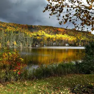 Explore Essence of Eastern Canada (End Montreal) for 8 days with Costsaver and discover unforgettable experiences - Photo 10