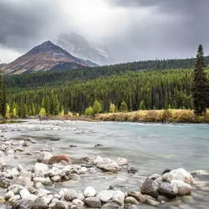 Explore Western Canada by Rail for 9 days with Cosmos and discover unforgettable experiences - Photo 8