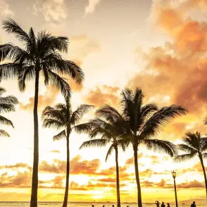 Explore Hawaiian Islands for 11 days with Cosmos and discover unforgettable experiences - Photo 6
