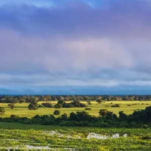 Explore Brazil, Argentina & Chile Unveiled with Brazil's Amazon & Peru for 24 days with Cosmos and discover unforgettable experiences - Photo 9