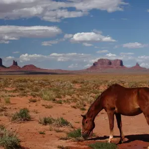 Explore Highlights of the Canyonlands for 7 days with Cosmos and discover unforgettable experiences - Photo 3